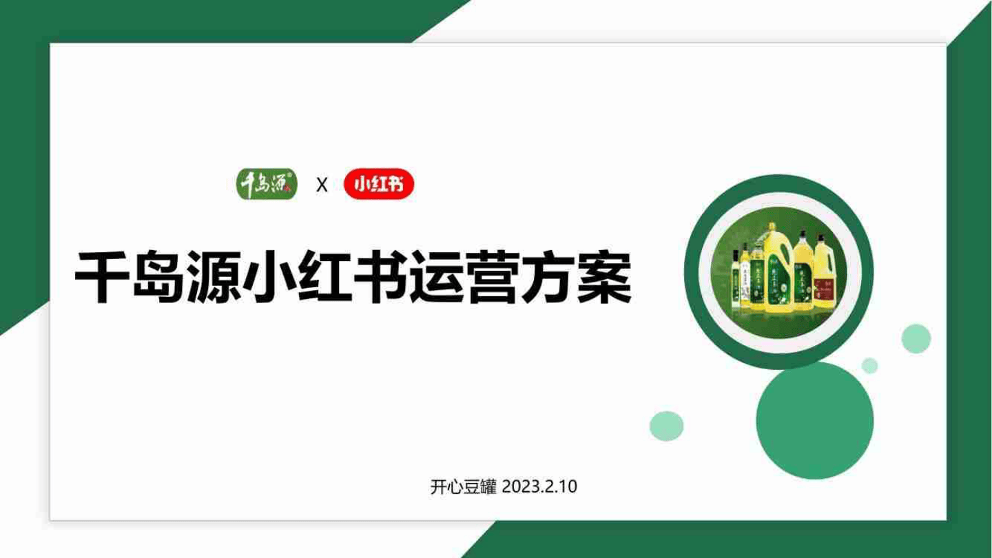 运营方案_2023千岛源茶油小红书内容运营方案_.pdf