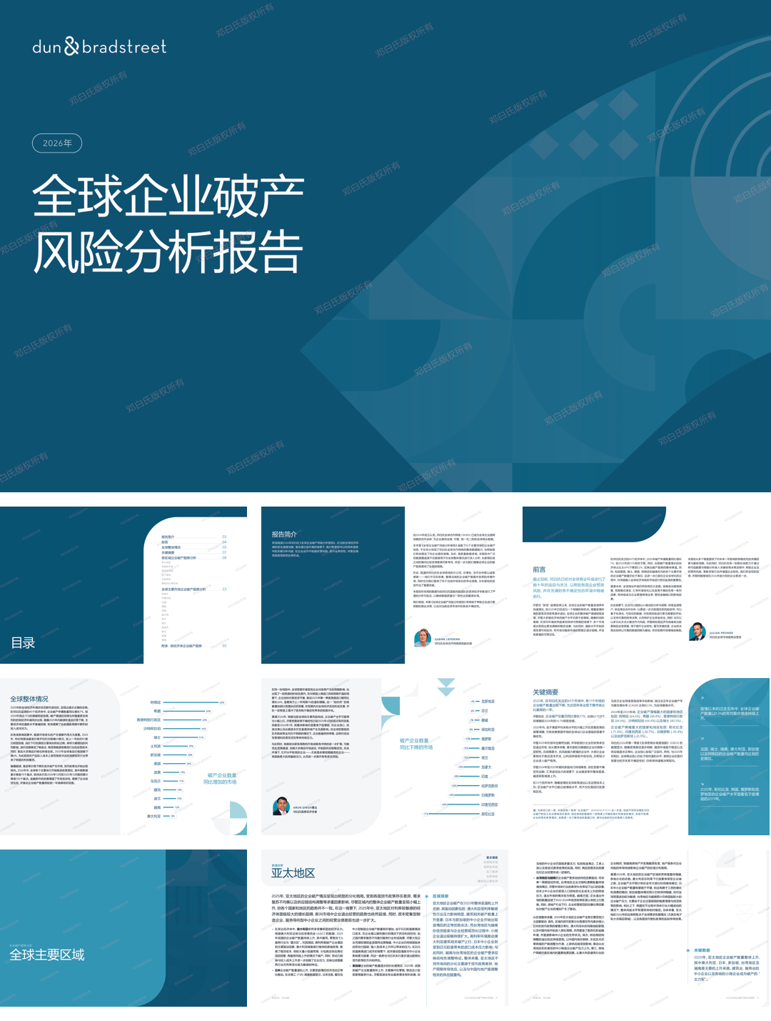 2026年全球企业破产风险分析报告.pdf